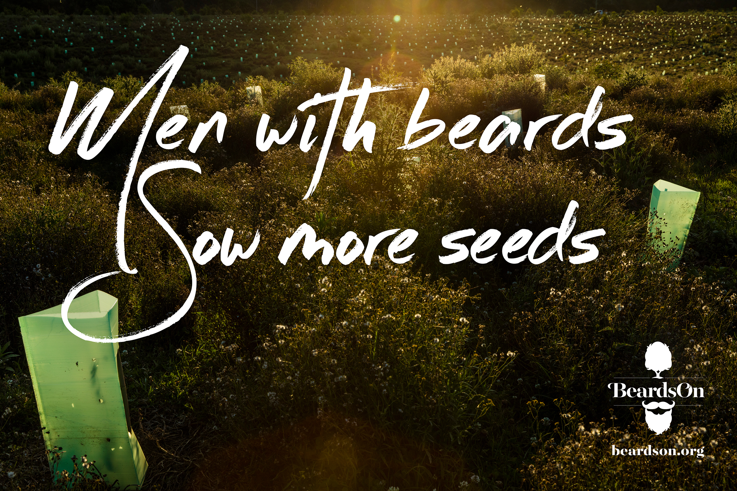 BEARDSON_12