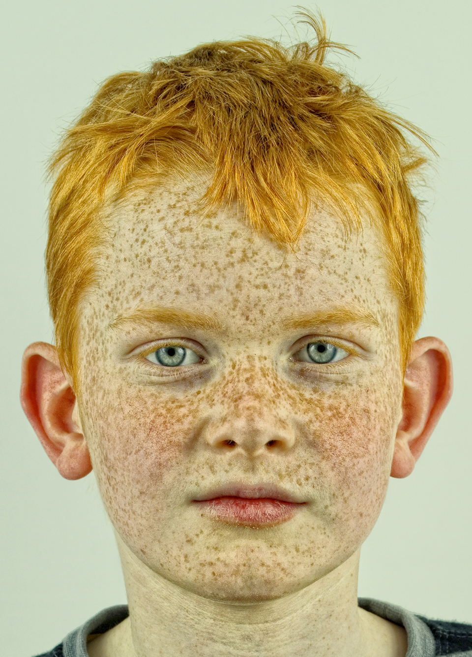 Ginger_960