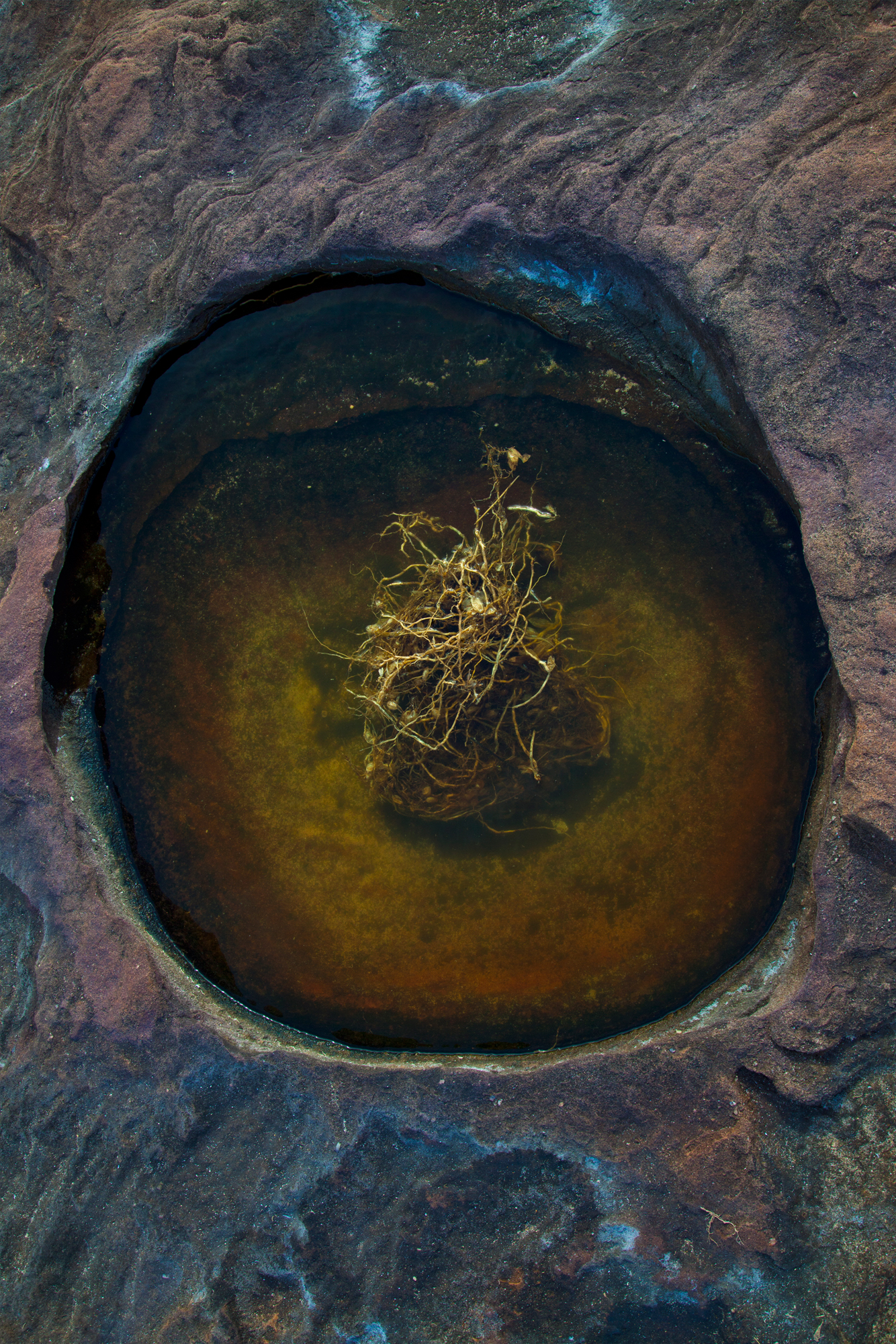 NEWSINKHOLE