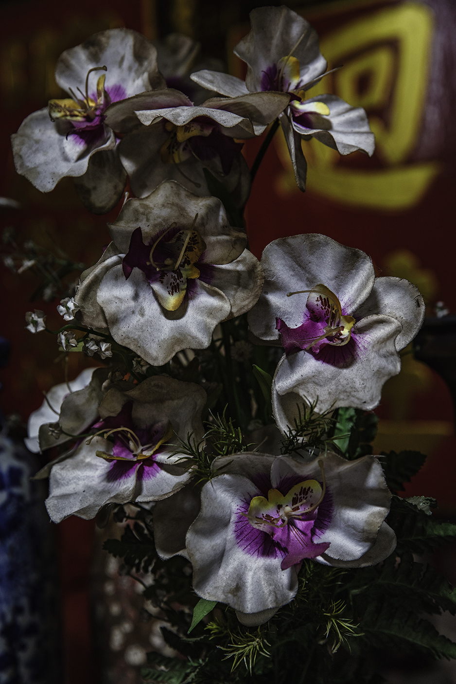 PLU_25619_Votive8