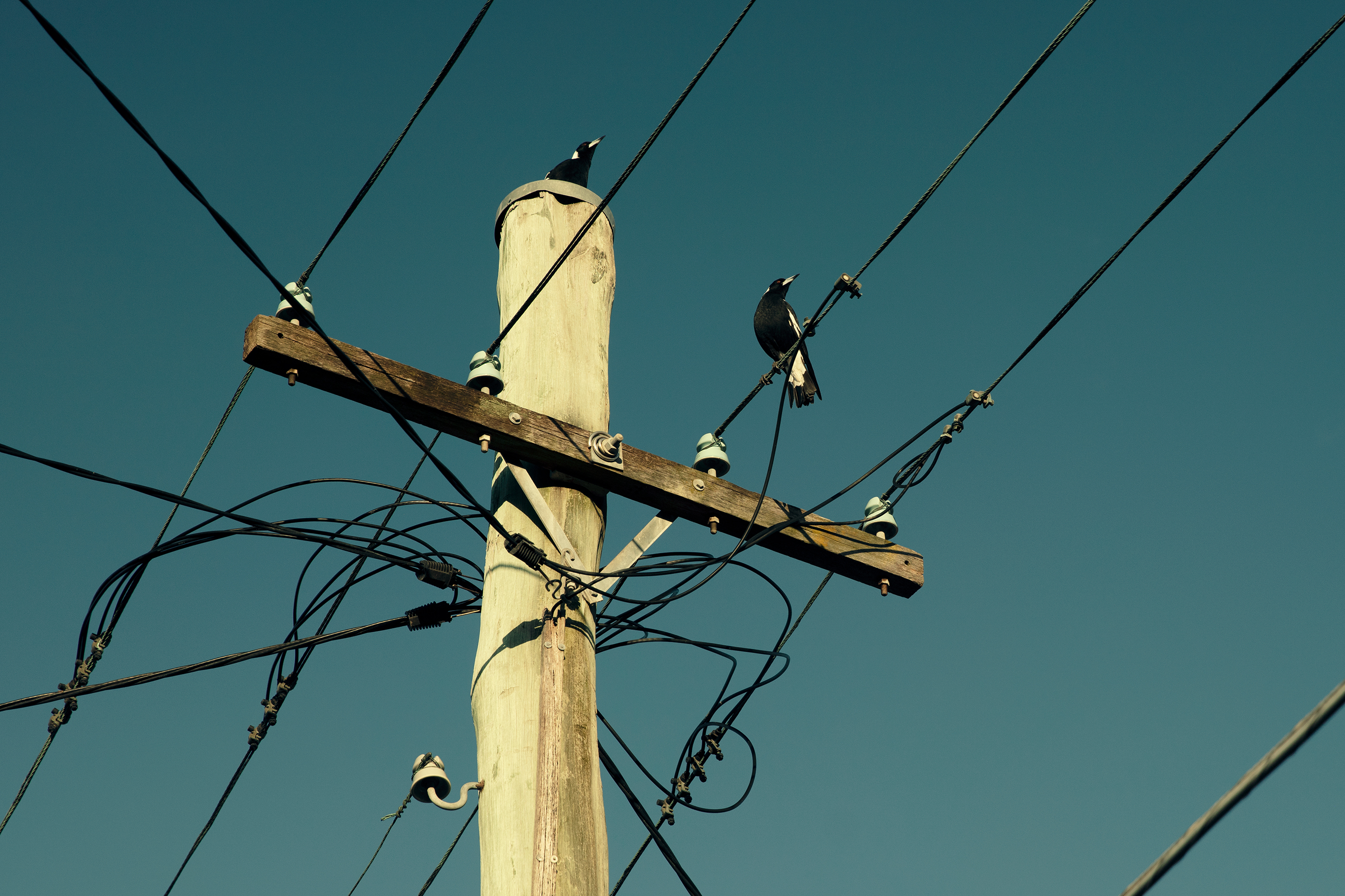 _I7A9631_F3_FORWEB2